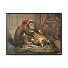 A monkey physician examining a cat patient for fleas. Coloured lithograph - NOMADEN ART GALLERY