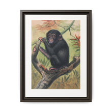 The Chimpanzee from Zoological sketches (1861-1867) by Joseph Wolf and Philip Lutley Sclater. - NOMADEN ART GALLERY