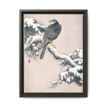 Goshawk on Snow-covered Pine Bough by Ohara Koson (1877–1945) - NOMADEN ART GALLERY