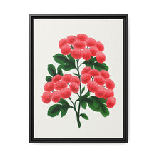 Paul's New Double Flowering Thorn lithograph. Digitally enhanced from our own original 1900 edition plates of Botanical Specimen published by Rochester Lithographing - NOMADEN ART GALLERY