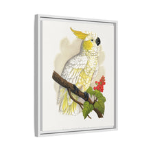 Kleiner Zitronenhaubenkakadu (Cacatua sulphurea) farbige Holzstichplatte von Alexander Francis Lydon
