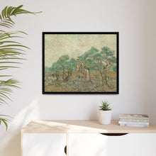 Vincent van Gogh's The Olive Orchard (1889) - NOMADEN ART GALLERY