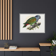 Red-Vented Parrot (Amazona martinicana) colored wood-engraved plate by Alexander Francis Lydon