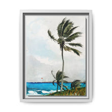 Palm Tree, Nassau (1898) by Winslow Homer - NOMADEN ART GALLERY