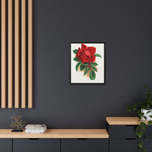 Red rose, Alfred Colomb lithograph. Digitally enhanced from our own original 1900 edition plates of Botanical Specimen published by Rochester Lithographing