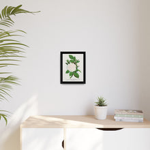 Rose, Perpetual White Moss lithograph. Digitally enhanced from our own original 1900 edition plates of Botanical Specimen published by Rochester Lithographing - NOMADEN ART GALLERY