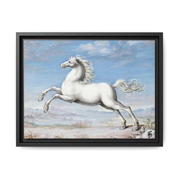 White horse (1552–1601) by Joris Hoefnagel - NOMADEN ART GALLERY