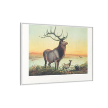 The Wapiti from Zoological sketches (1861-1867) by Joseph Wolf and Philip Lutley Sclater