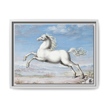 White horse (1552–1601) by Joris Hoefnagel - NOMADEN ART GALLERY