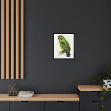 Placa grabada en madera de color loro de Jardine (Poicephalus gulielmi gulielmi) de Alexander Francis Lydon. 