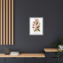 Pink flowers, Weigela lithograph (1900)
