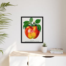 Wolf River Apple Lithograph | Vintage Botanical Wall Art Print