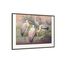 The African Wood Ibis from Zoological sketches (1861-1867) by Joseph Wolf and Philip Lutley Sclater