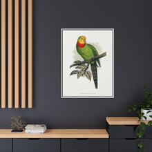 Barraband's Parakeet (Polytelis swainsonii) colored wood-engraved plate by Alexander Francis Lydon
