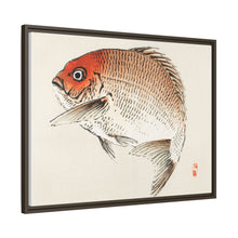 Tai (Red Seabream) fish by Kōno Bairei