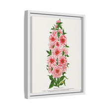 Prunus Triloba flower lithograph. Digitally enhanced from our own original 1900 edition plates of Botanical Specimen published by Rochester Lithographing