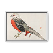 Japanese pheasant by Kōno Bairei (1844-1895) - NOMADEN ART GALLERY