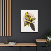 Lydon's Yellow-Rumped Parrakeet | Vintage Bird Wall Art Print