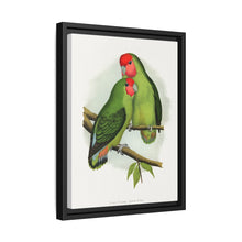 Rosy-Faced Love-Bird (Agapornis roseicollis) colored wood-engraved plate by Alexander Francis Lydon.