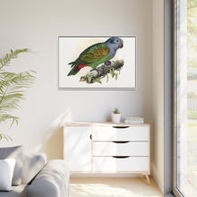 Red-Vented Parrot (Amazona martinicana) colored wood-engraved plate by Alexander Francis Lydon
