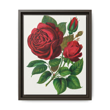 Red Rose, Prince Camille De Rohan Lithograph - NOMADEN ART GALLERY