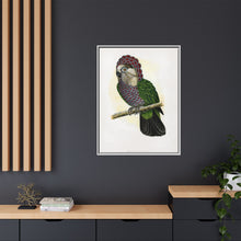 Hawk-Headed Parrot (Deroptyus accipitrinus) colored wood-engraved plate by Alexander Francis Lydon.