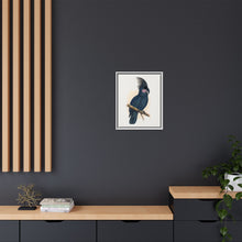 Great Black Cockatoo (Probosciger aterrimus) colored wood-engraved plate by Alexander Francis Lydon