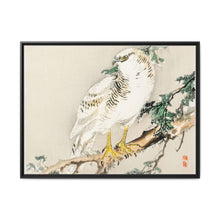 Northern mockingbird by Kōno Bairei (1844-1895) - NOMADEN ART GALLERY