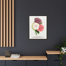 Double Althea in 3 colors lithograph. Digitally enhanced from our own original 1900 edition plates of Botanical Specimen published by Rochester Lithographing