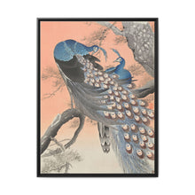 Two peacocks on tree branch (1900 - 1930) by Ohara Koson