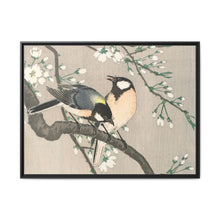 Tits on Cherry Branch (1900–1910) by Ohara Koson