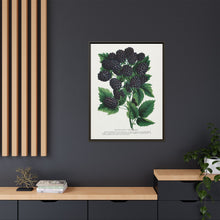Wachusett Blackberry Lithograph | Vintage Botanical Wall Art