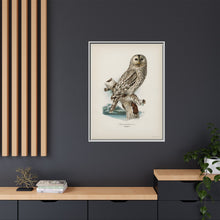 Strix uralensis ♀ illustrated by the von Wright brothers from our own 1929 folio version of Svenska Fåglar Efter Naturen Och Pa Sten Ritade - NOMADEN ART GALLERY