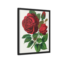 Red Rose, Prince Camille De Rohan Lithograph