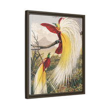 Birds of Paradise: Vintage Natural History Art by Benjamin Fawcett (1808 - 1893)