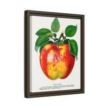 Wolf River Apple Lithograph | Vintage Botanical Wall Art Print