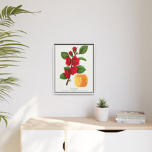 Japan Quince tree lithograph. Digitally enhanced from our own original 1900 edition plates of Botanical Specimen published by Rochester Lithographing