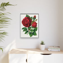 Red Rose, Prince Camille De Rohan Lithograph