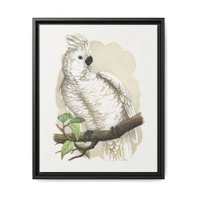 Great White-Crested Cockatoo (Cacatua alba) colored wood-engraved plate by Alexander Francis Lydon - NOMADEN ART GALLERY
