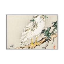 Northern mockingbird by Kōno Bairei (1844-1895) - NOMADEN ART GALLERY