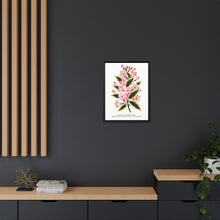Pink flowers, Weigela lithograph (1900)