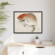 Tai (Red Seabream) fish by Kōno Bairei