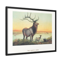 The Wapiti from Zoological sketches (1861-1867) by Joseph Wolf and Philip Lutley Sclater