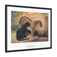 The Leopard from Zoological sketches (1861-1867) by Joseph Wolf and Philip Lutley Sclater