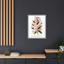Pink flowers, Weigela lithograph (1900)