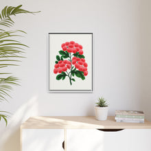Paul's New Double Flowering Thorn lithograph. Digitally enhanced from our own original 1900 edition plates of Botanical Specimen published by Rochester Lithographing