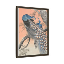 Two peacocks on tree branch (1900 - 1930) by Ohara Koson