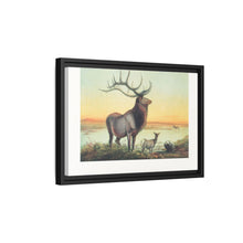 The Wapiti from Zoological sketches (1861-1867) by Joseph Wolf and Philip Lutley Sclater