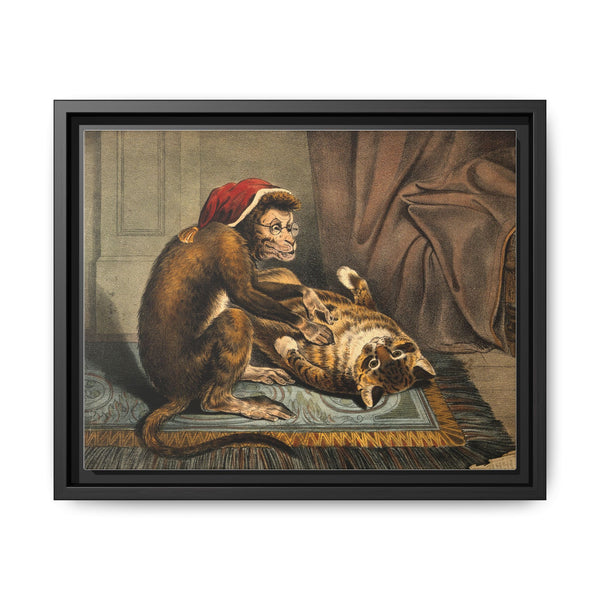 A monkey physician examining a cat patient for fleas. Coloured lithograph - NOMADEN ART GALLERY