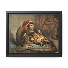 A monkey physician examining a cat patient for fleas. Coloured lithograph - NOMADEN ART GALLERY